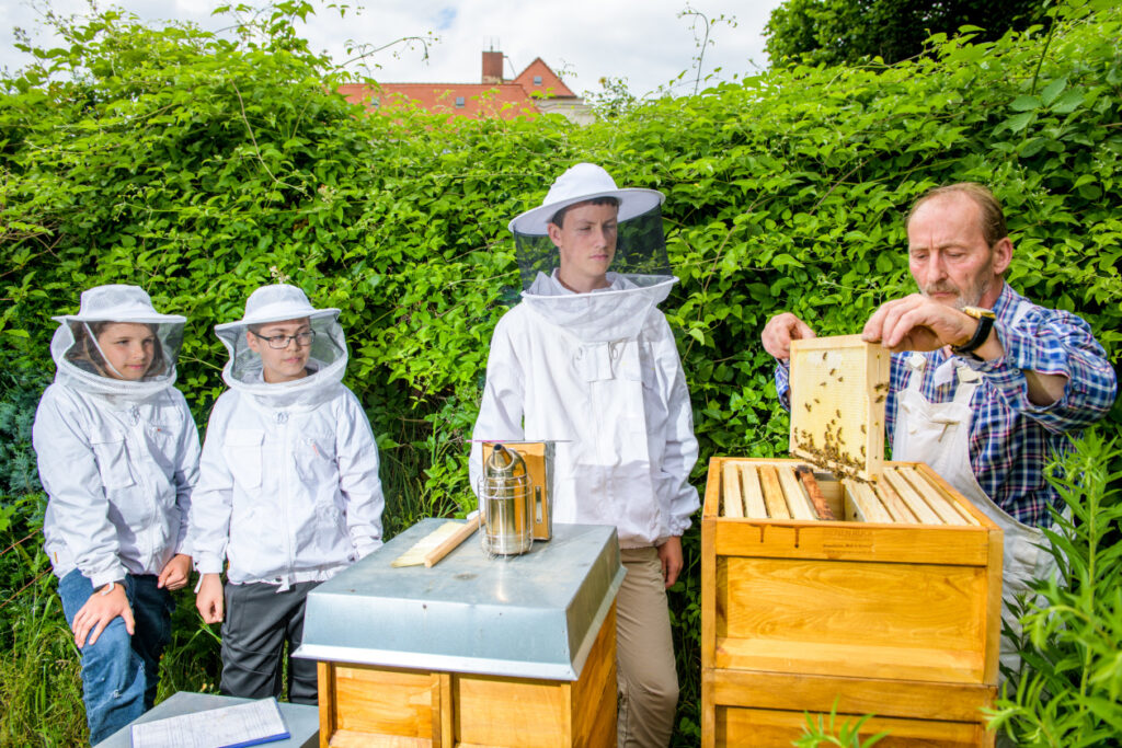 Imker Thomas büsselberg erklärt teilnehmenden Jugendlichen den Umgang mit den Bienenstöcken.