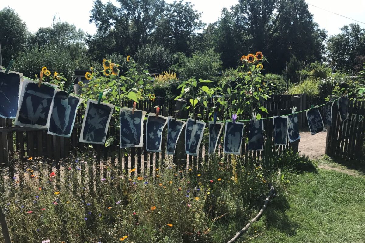 Auf einer Leine im Garten hängen bedruckte Blätter Paoier zum Trocknen. Im Hintergrund stehen Sonnenblumen in voller Blüte.